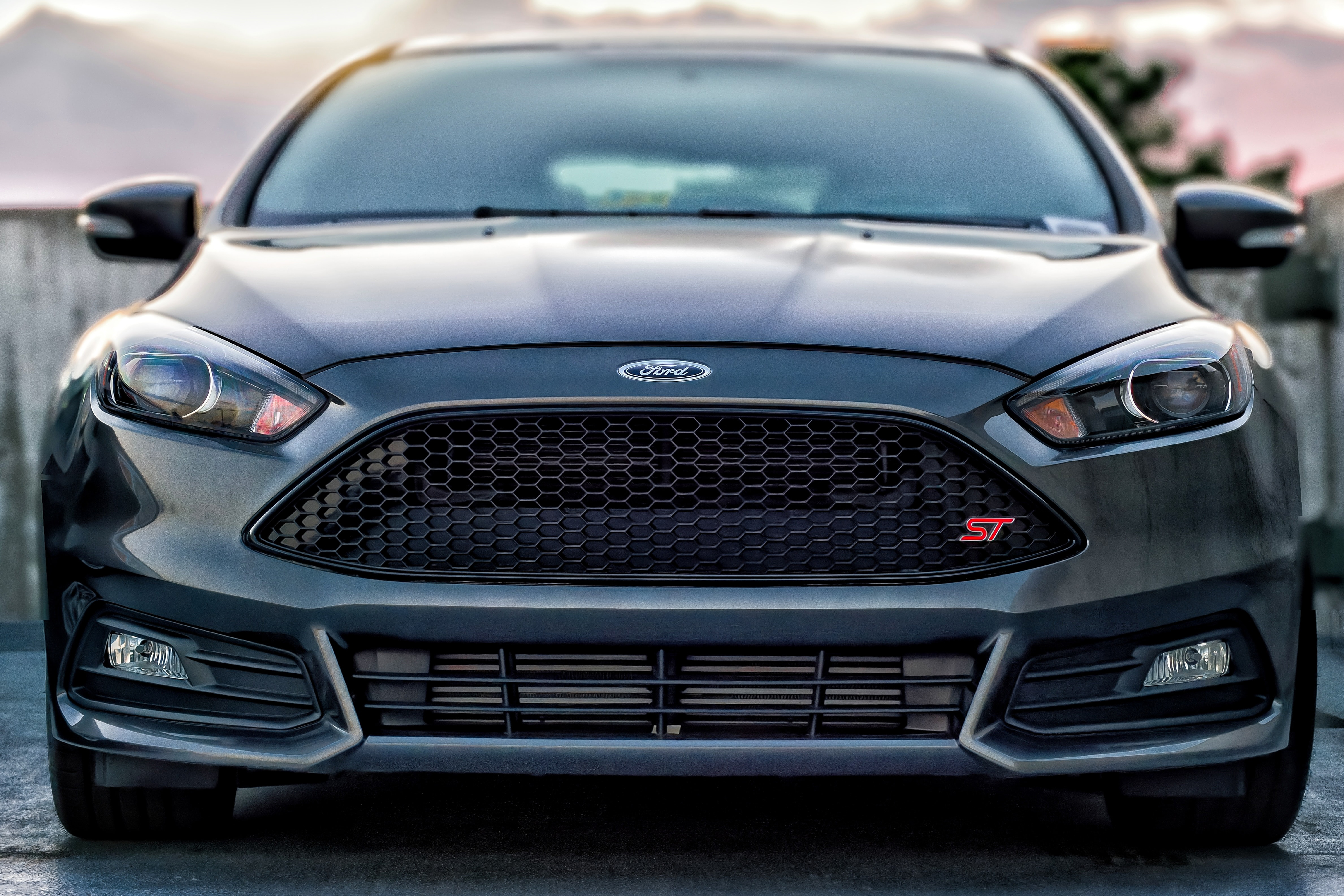 Private car service in Tampa